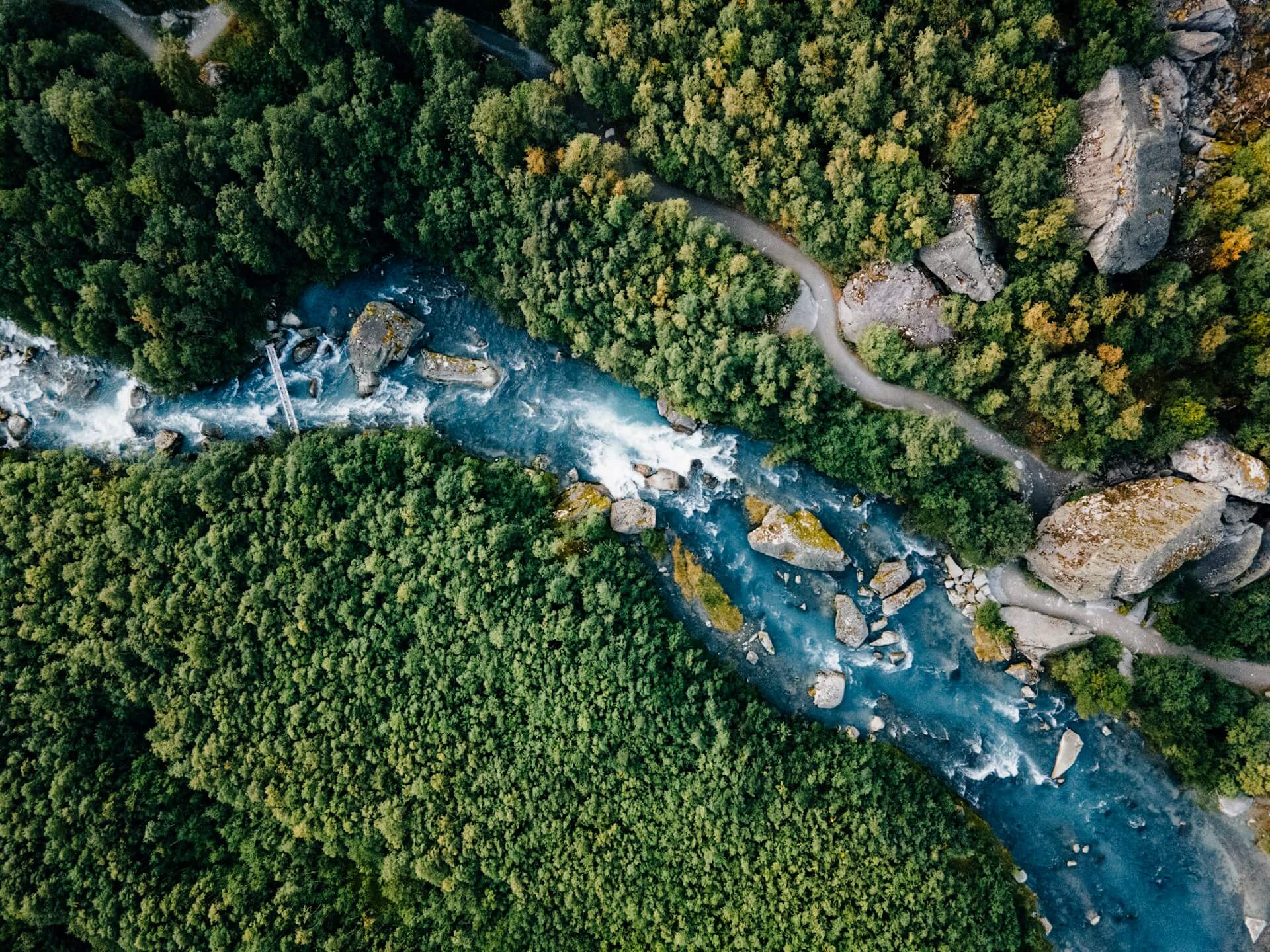 luke-oslizlo-j-p1LIXbP_g-unsplash (1)